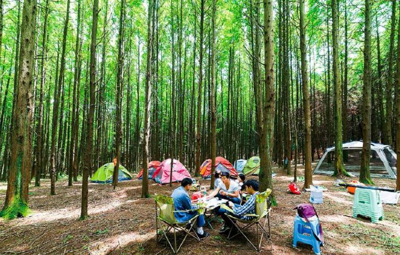 山王坪露营基地可以烧烤吗？山王坪露营收费吗