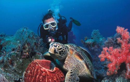 越南浮潜最佳地点？珊瑚岛浮潜收费吗