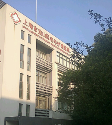 上海市宝山中心医院如何走？上海952b收费