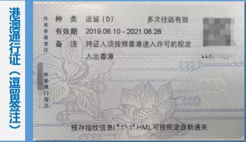 深户港澳通行证续签一年多次？深户香港续签收费