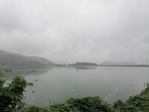 浙江宁海或者三门哪里海边钓鱼好?或者哪个码头也可以?台州山门水库钓鱼收费-图2 浙江宁海或者三门哪里海边钓鱼好?或者哪个码头也可以?台州山门水库钓鱼收费-图2