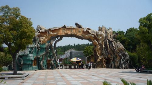 苏州市穹窿山万鸟园景区,苏州市休闲卡卡能不能用?太原东山生态园收费吗-图3 苏州市穹窿山万鸟园景区,苏州市休闲卡卡能不能用?太原东山生态园收费吗-图3