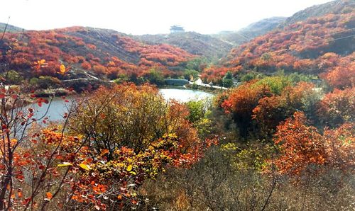 唐县旅游景点都有哪些?唐县香山收费不-图2 唐县旅游景点都有哪些?唐县香山收费不-图2