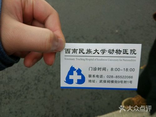 西南民大是几本？西南民大动物医院收费