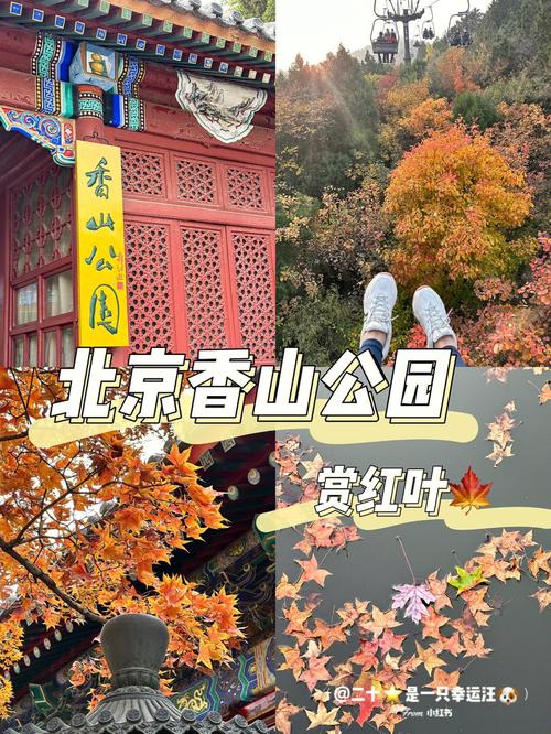 2021香山公园停车场收费吗?香山公园收费2017-图3 2021香山公园停车场收费吗?香山公园收费2017-图3