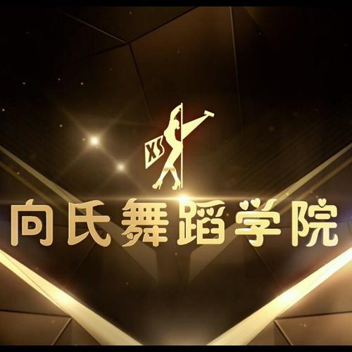 向氏国际舞蹈培训机构怎么样?向氏舞蹈培训收费-图2 向氏国际舞蹈培训机构怎么样?向氏舞蹈培训收费-图2