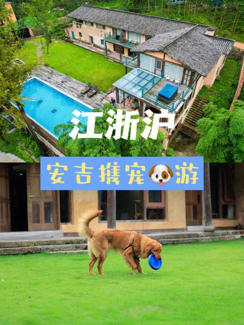 安吉简爱民宿带小狗要收费吗?小猪 短租 收费-图3 安吉简爱民宿带小狗要收费吗?小猪 短租 收费-图3