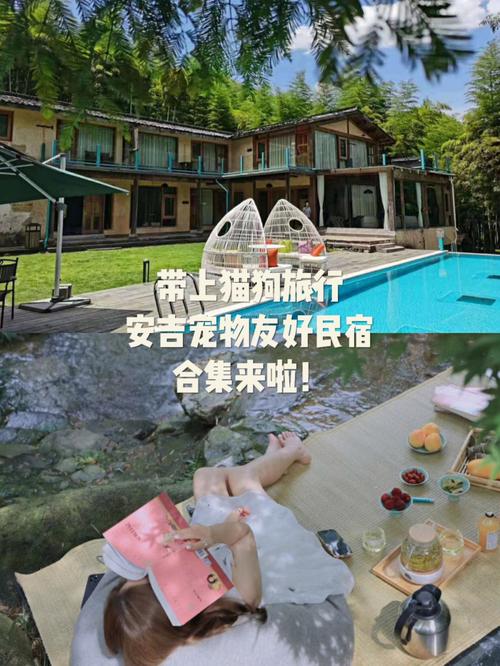 安吉简爱民宿带小狗要收费吗？小猪 短租 收费