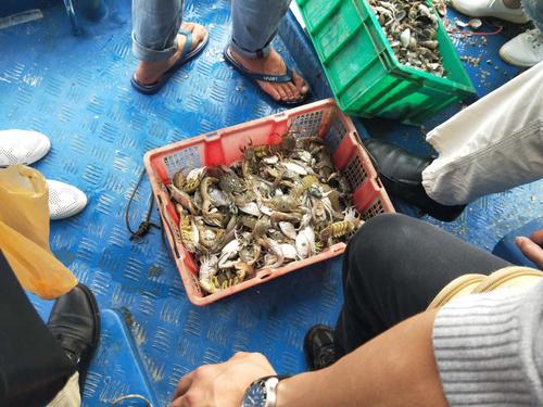 惠州巽寮湾跟随渔民捕鱼要收费的吗?巽寮湾海钓怎么收费-图2 惠州巽寮湾跟随渔民捕鱼要收费的吗?巽寮湾海钓怎么收费-图2