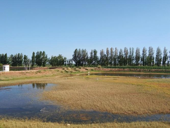 巴彦淖尔钓鱼野钓的地方?沿黄公路内蒙段收费吗-图2 巴彦淖尔钓鱼野钓的地方?沿黄公路内蒙段收费吗-图2