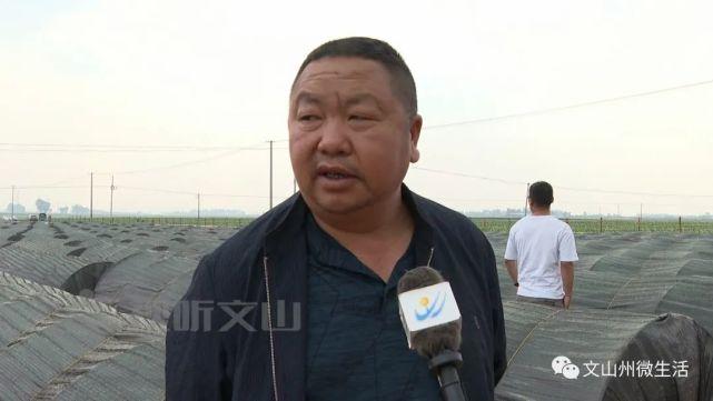 砚山县有几个乡镇,每个乡镇有多少人?砚山平远新收费站-图3 砚山县有几个乡镇,每个乡镇有多少人?砚山平远新收费站-图3
