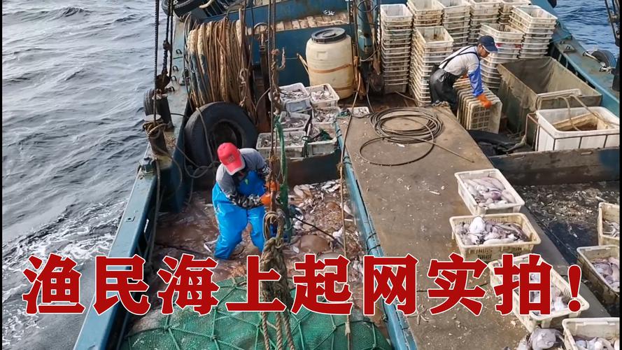 自己海上捕鱼需要什么费用?在海上捕鱼收费-图2 自己海上捕鱼需要什么费用?在海上捕鱼收费-图2