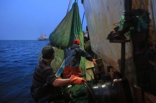 自己海上捕鱼需要什么费用？在海上捕鱼收费
