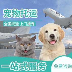 中铁快运可以托运狗狗吗？中铁快运托运宠物收费标准