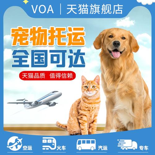 中铁快运可以托运狗狗吗?中铁快运托运宠物收费标准-图3 中铁快运可以托运狗狗吗?中铁快运托运宠物收费标准-图3