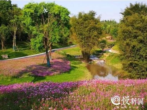 重庆公园面积排名？重庆北碚公园收费吗-图2