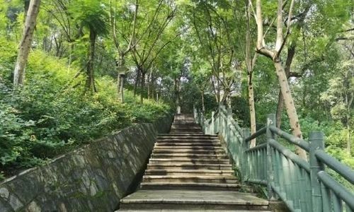 重庆公园面积排名？重庆北碚公园收费吗