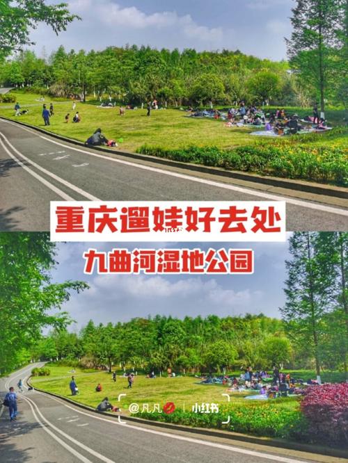 重庆湿地公园排名?重庆湿地公园收费吗-图1 重庆湿地公园排名?重庆湿地公园收费吗-图1