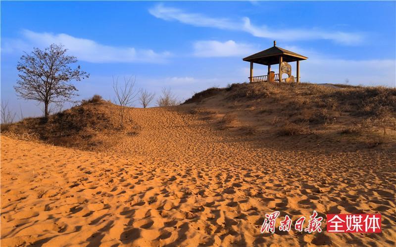 大荔沙漠怎么形成的?渭南沙苑收费-图1 大荔沙漠怎么形成的?渭南沙苑收费-图1