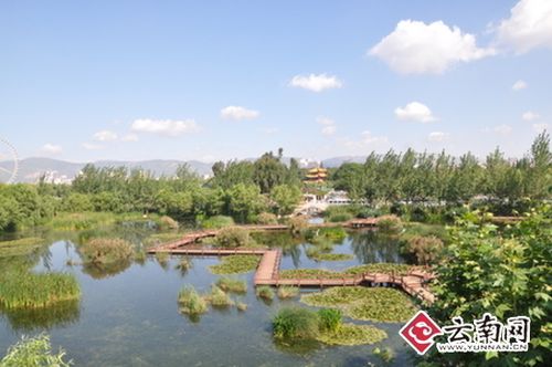 五家堆湿地公园何时开放?五家堆湿地公园收费吗-图2 五家堆湿地公园何时开放?五家堆湿地公园收费吗-图2