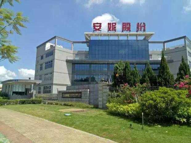 安妮股份是一家什么样的公司?厦门安妮花收费-图2 安妮股份是一家什么样的公司?厦门安妮花收费-图2