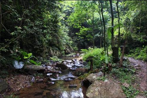柳州下雨还能玩吗?鹿寨拉沟景区收费吗-图2 柳州下雨还能玩吗?鹿寨拉沟景区收费吗-图2