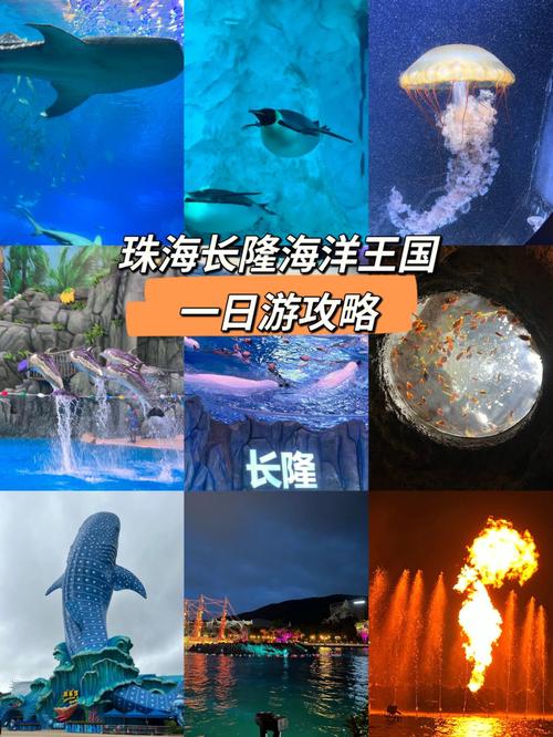 广州长隆海洋王国是怎么收费的？珠海长隆的收费