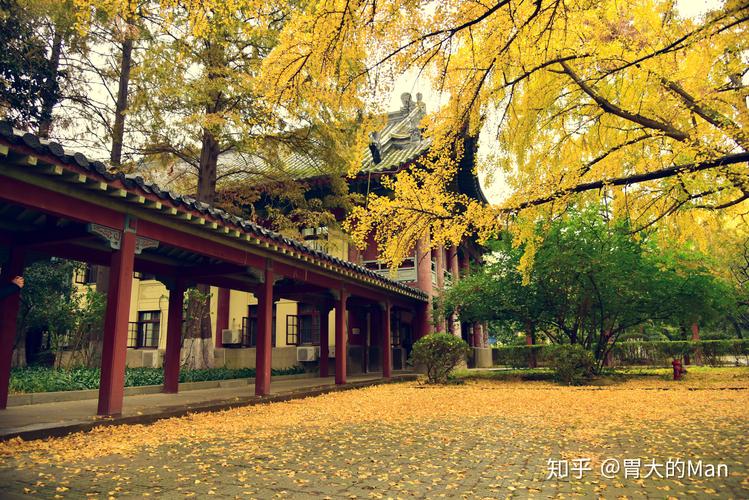 南师大含金量高吗?南师大鼓楼停车收费-图2 南师大含金量高吗?南师大鼓楼停车收费-图2
