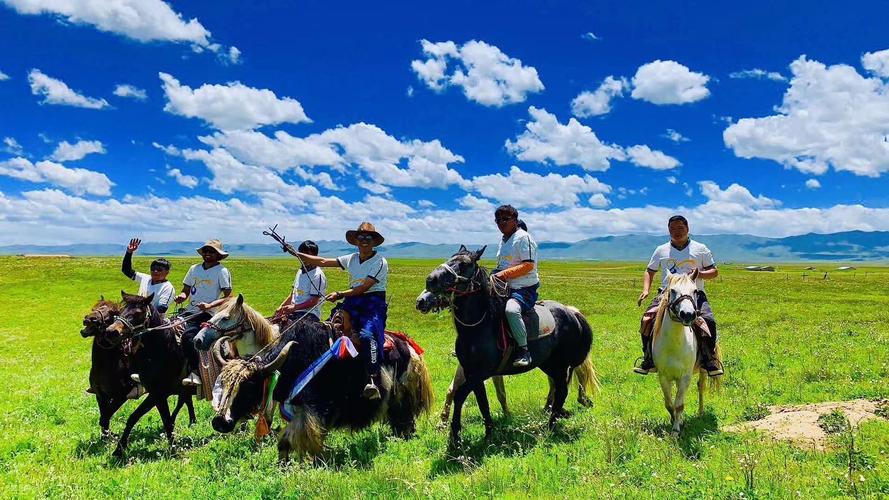 若尔盖哪里骑马便宜?诺尔盖草原收费项目-图3 若尔盖哪里骑马便宜?诺尔盖草原收费项目-图3