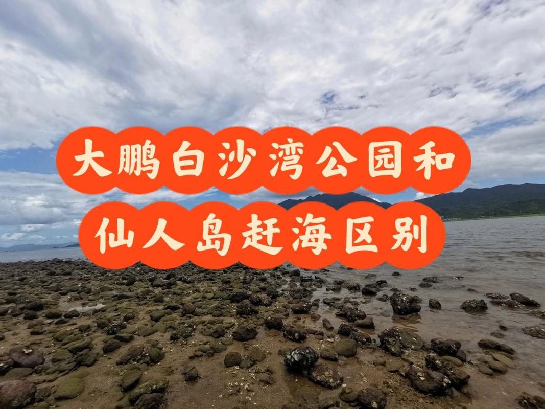 白沙湾和仙人岛哪个更适合小孩子?皮口港船票儿童收费吗-图2 白沙湾和仙人岛哪个更适合小孩子?皮口港船票儿童收费吗-图2