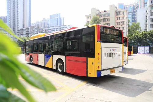 广州517路公交车全线站名?车陂少年宫收费标准-图3 广州517路公交车全线站名?车陂少年宫收费标准-图3