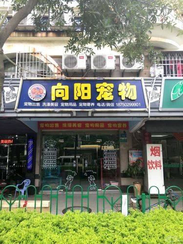 厦门哪有宠物市场?郴州嘉禾驾校收费标准-图3 厦门哪有宠物市场?郴州嘉禾驾校收费标准-图3