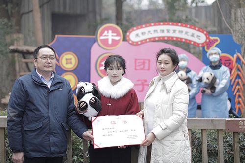 嘉祥成华小学每年花费?成都熊猫基地儿童收费-图2 嘉祥成华小学每年花费?成都熊猫基地儿童收费-图2