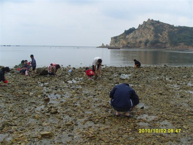 大长山岛适合赶海吗?大长山岛收费赶海-图2 大长山岛适合赶海吗?大长山岛收费赶海-图2