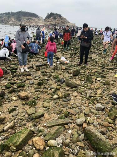 大长山岛适合赶海吗？大长山岛收费赶海