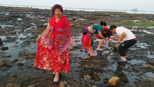 大长山岛适合赶海吗?大长山岛收费赶海-图3 大长山岛适合赶海吗?大长山岛收费赶海-图3