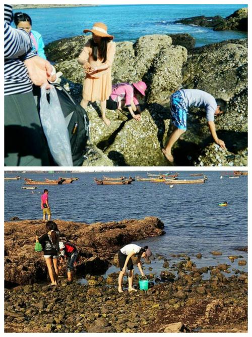 哈仙岛赶海最佳地点?大连哈仙岛赶海收费吗-图1 哈仙岛赶海最佳地点?大连哈仙岛赶海收费吗-图1