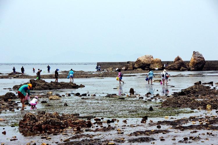 哈仙岛赶海最佳地点?大连哈仙岛赶海收费吗-图3 哈仙岛赶海最佳地点?大连哈仙岛赶海收费吗-图3