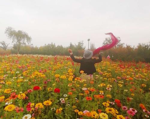 去董家沟植物园坐什么车?董家沟植物园收费吗-图3 去董家沟植物园坐什么车?董家沟植物园收费吗-图3