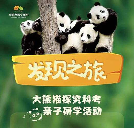 成都适合小孩科普的地方?都江堰青少年宫收费-图2 成都适合小孩科普的地方?都江堰青少年宫收费-图2