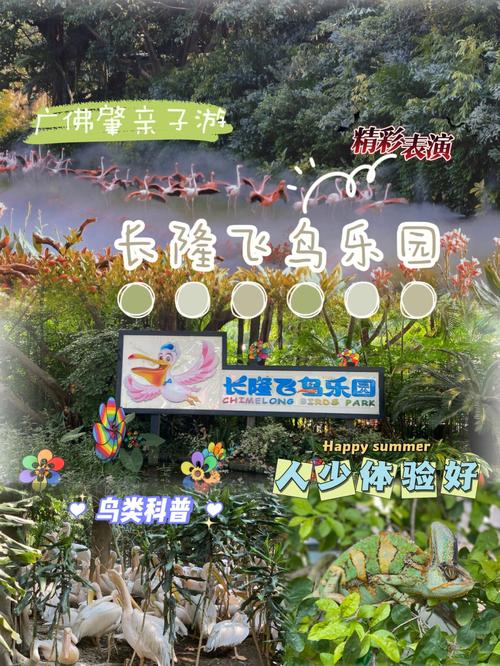 飞鸟乐园门票？飞鸟乐园停车如何收费