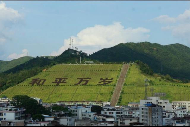 河源市和平县天然煤气管道线路土地林木补偿款什么时候发放?和平煤气收费时间-图3 河源市和平县天然煤气管道线路土地林木补偿款什么时候发放?和平煤气收费时间-图3