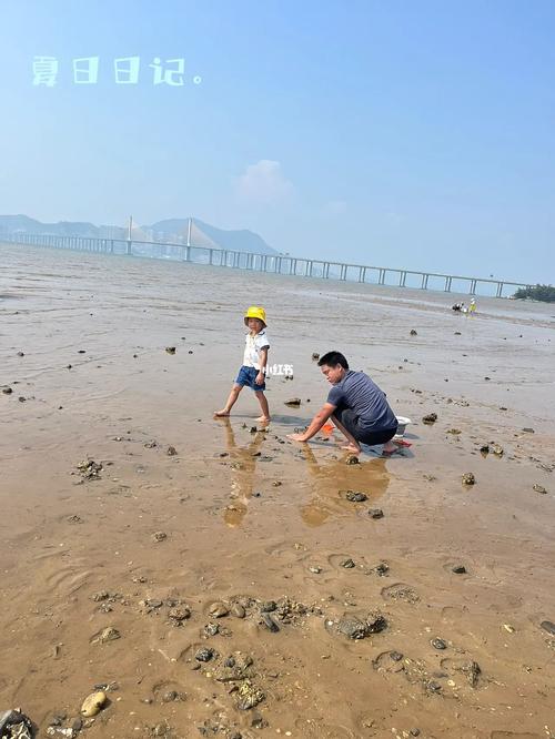 惠州赶海公园真的好玩吗？惠州海公园要收费吗