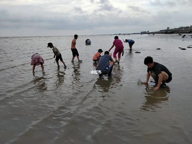 惠州赶海公园真的好玩吗?惠州海公园要收费吗-图3 惠州赶海公园真的好玩吗?惠州海公园要收费吗-图3