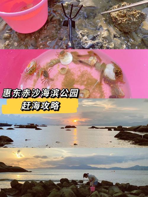 惠州赶海公园真的好玩吗?惠州海公园要收费吗-图2 惠州赶海公园真的好玩吗?惠州海公园要收费吗-图2