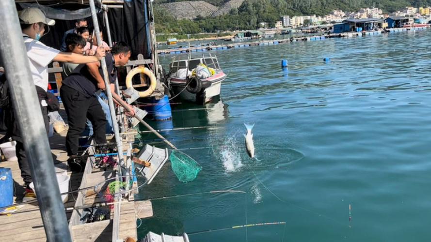 深圳那里可以海钓？惠州小桂鱼排钓鱼收费