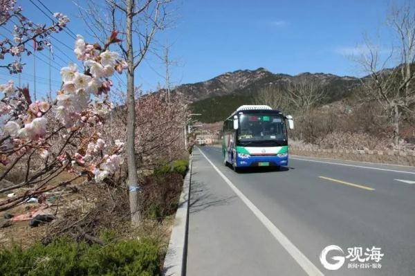 即墨到崂山多少公里?即墨到崂山高速收费-图3 即墨到崂山多少公里?即墨到崂山高速收费-图3
