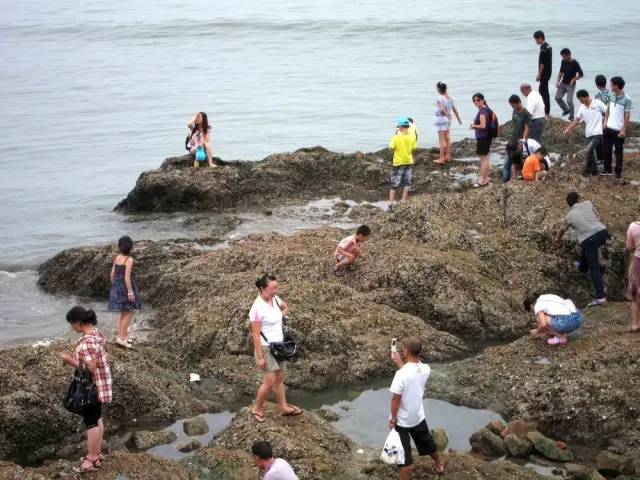 威海6月份赶海最佳地点？刘公岛赶海收费吗