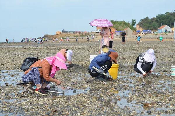 威海6月份赶海最佳地点？刘公岛赶海收费吗-图3