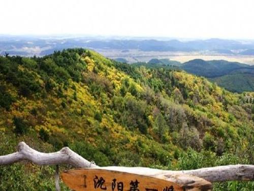 沈阳适合一个人消遣的场所?绿岛森林公园收费吗-图1 沈阳适合一个人消遣的场所?绿岛森林公园收费吗-图1